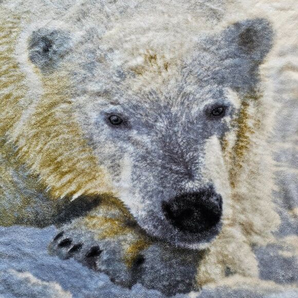 Northwest POLAR BEAR Sleepy Time Bear Plush Throw Blanket COLLIN BOGLE 49 x 59 - Picture 2 of 8